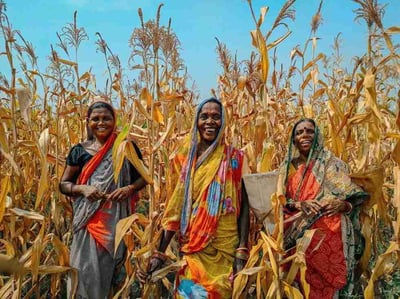 Women and Climate Change: The Critical Role & Disproportionate Impact